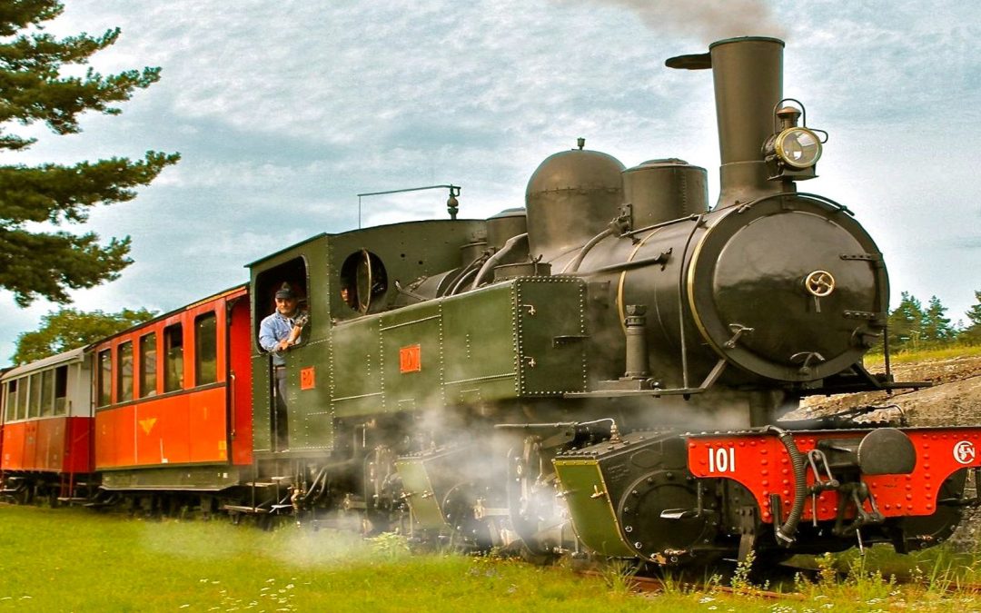 Sortie train à vapeur proche Saint-Étienne et Lyon
