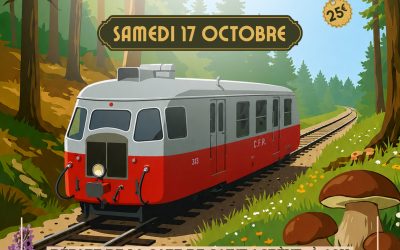 Le train des champignon